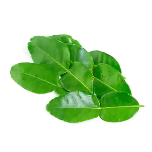 Lime Leaves 50g Thailand